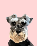 "Schnauzer"