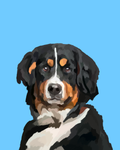 "Bernese Mountain"