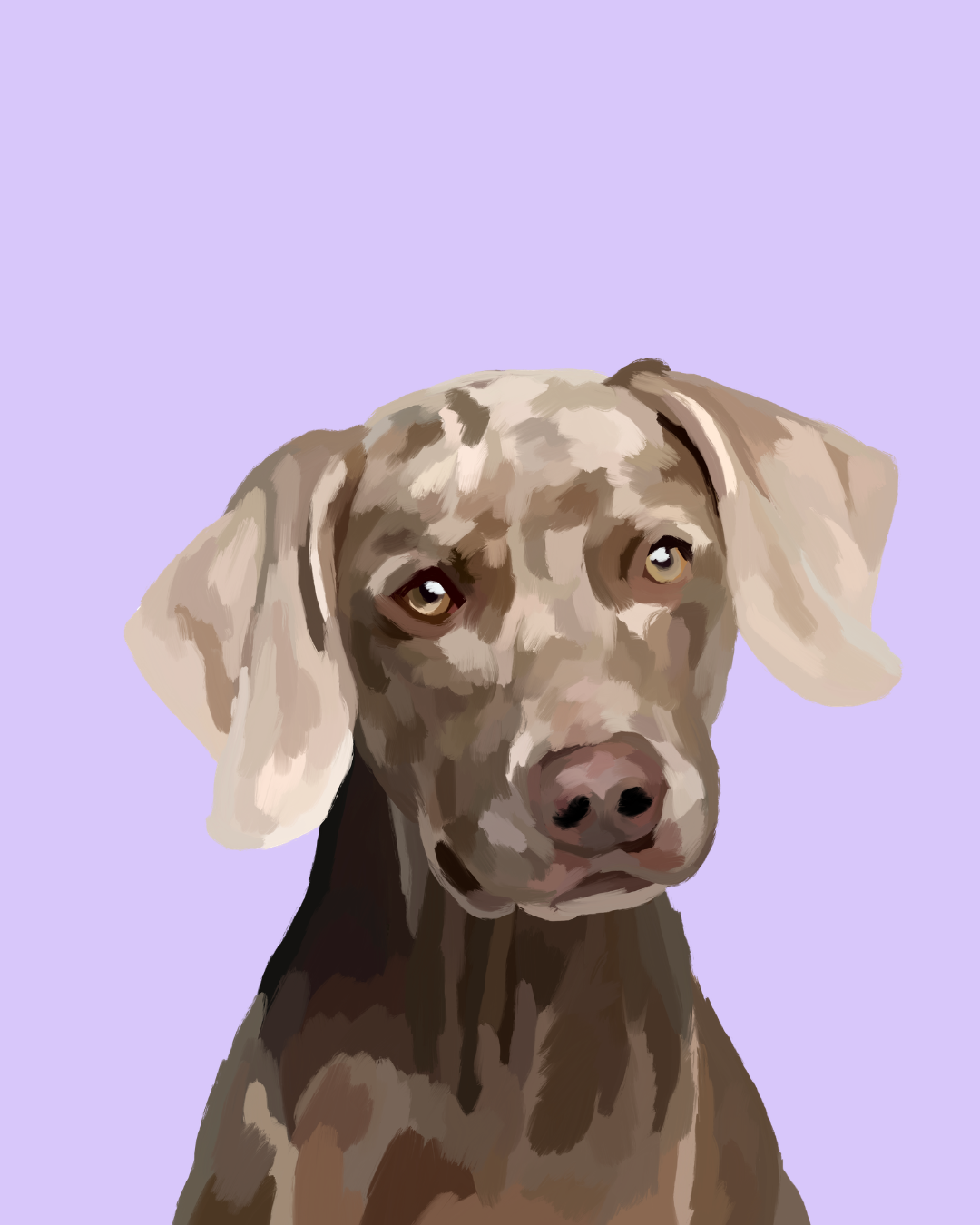 "Weimaraner"