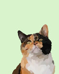 "Calico"