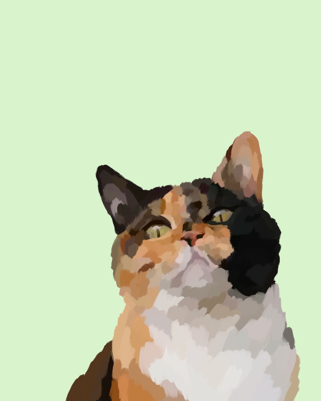 "Calico"