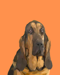 "Bloodhound"