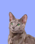 "Russian Blue"