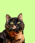 "Tortoiseshell"