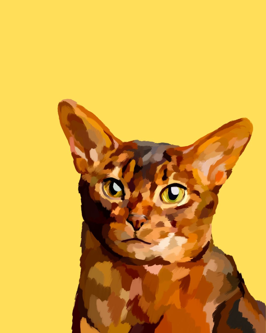 "Abyssinian"