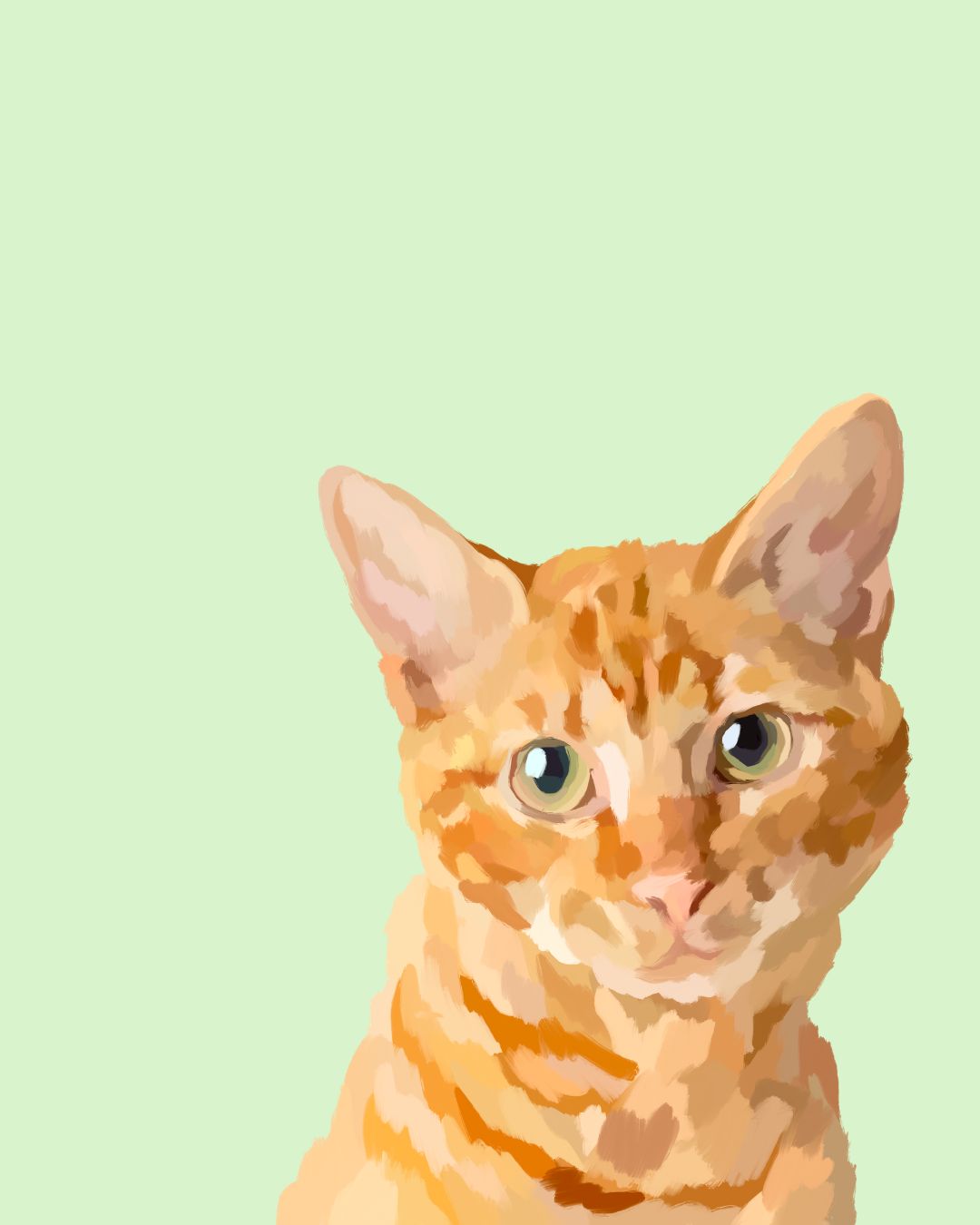 "Orange Tabby"