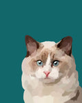 "Ragdoll"