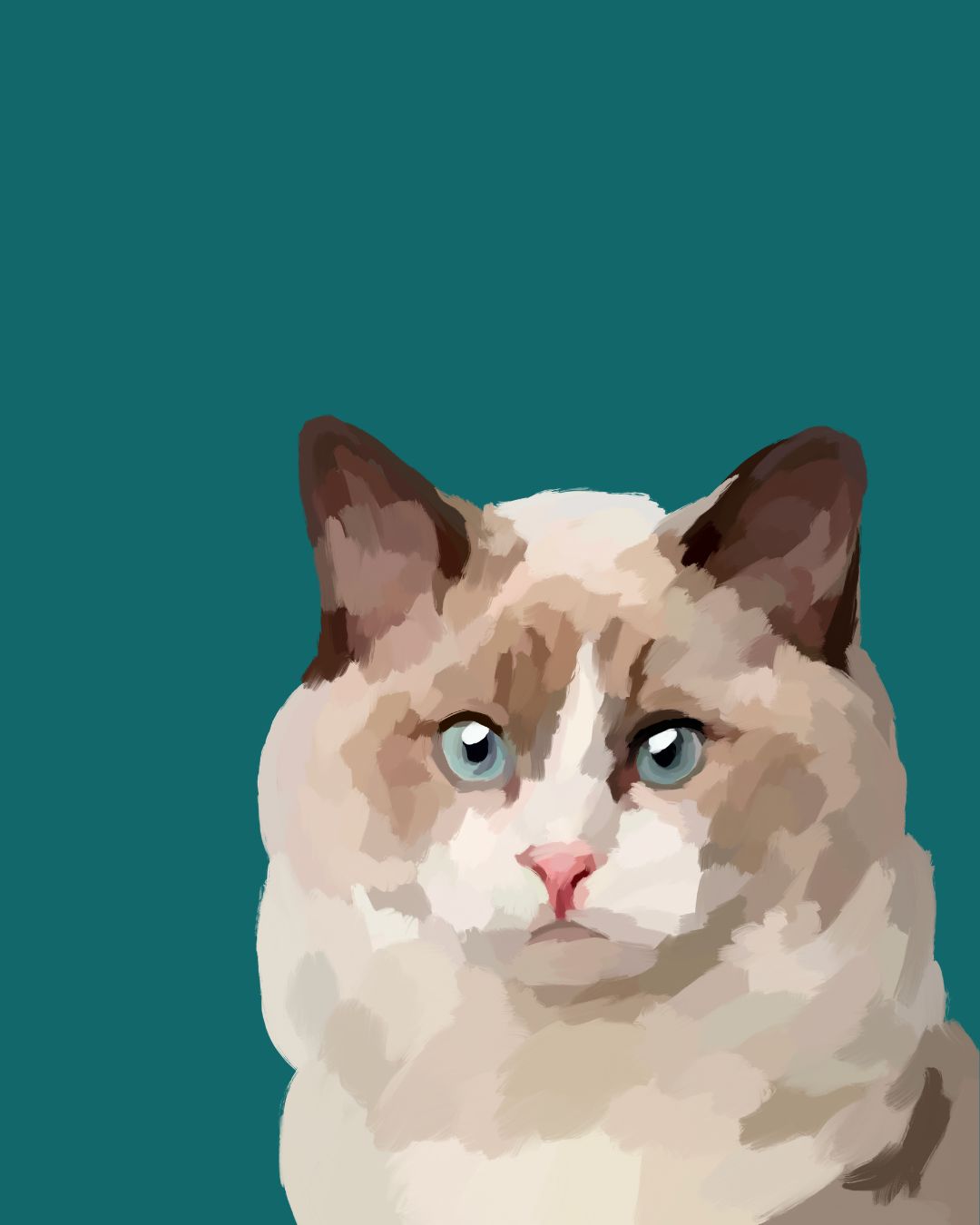 "Ragdoll"