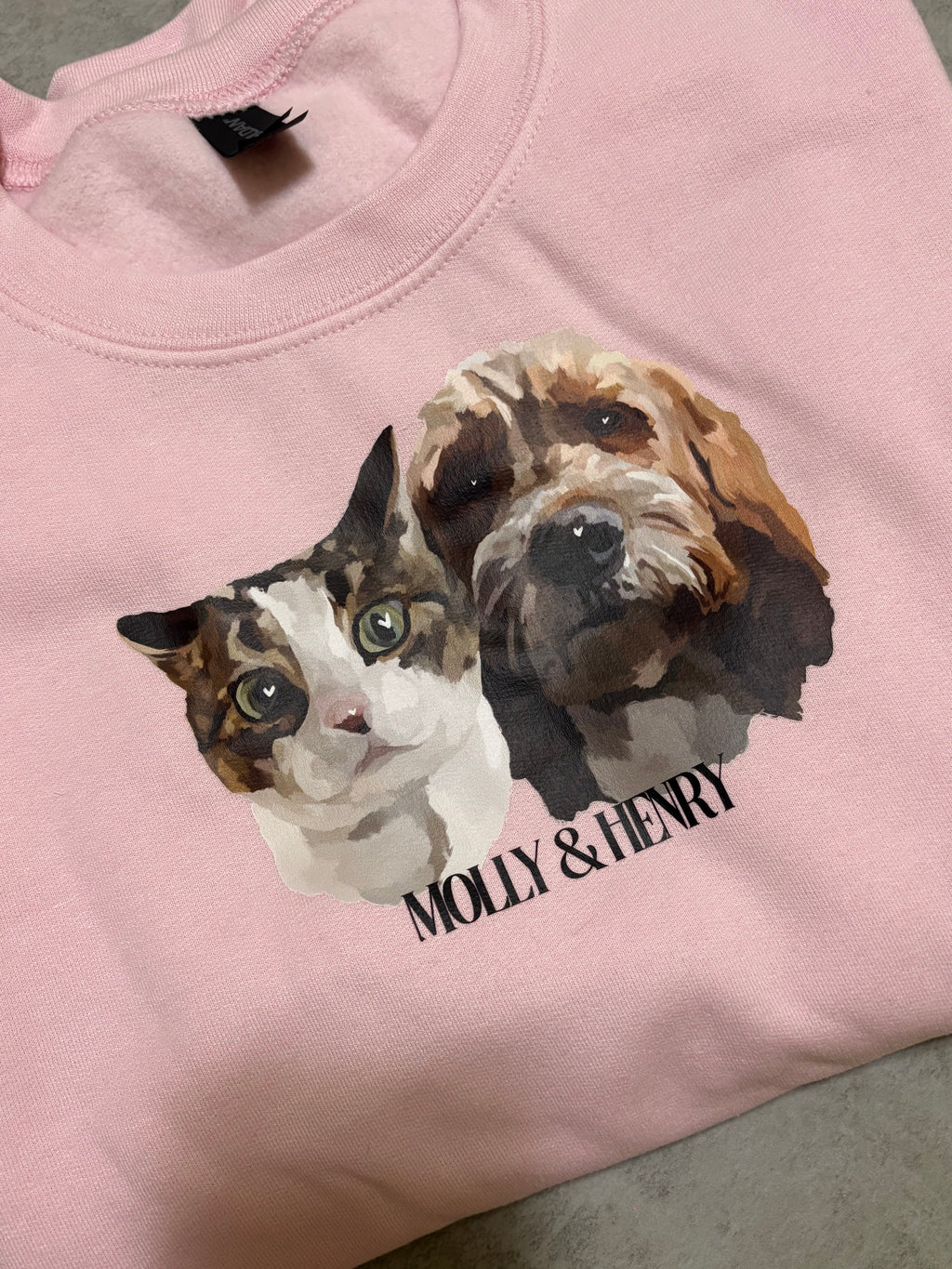 Custom Pet Hoodie