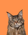 "Maine Coon"