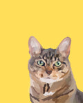 "Tabby"