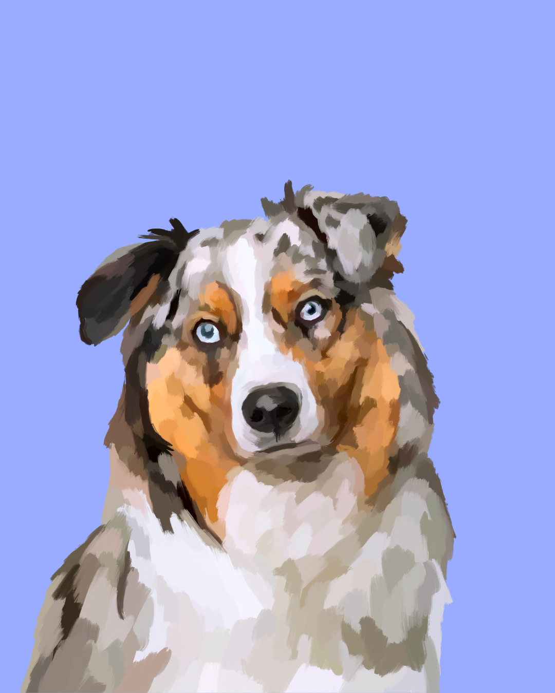 "Australian Shepherd"