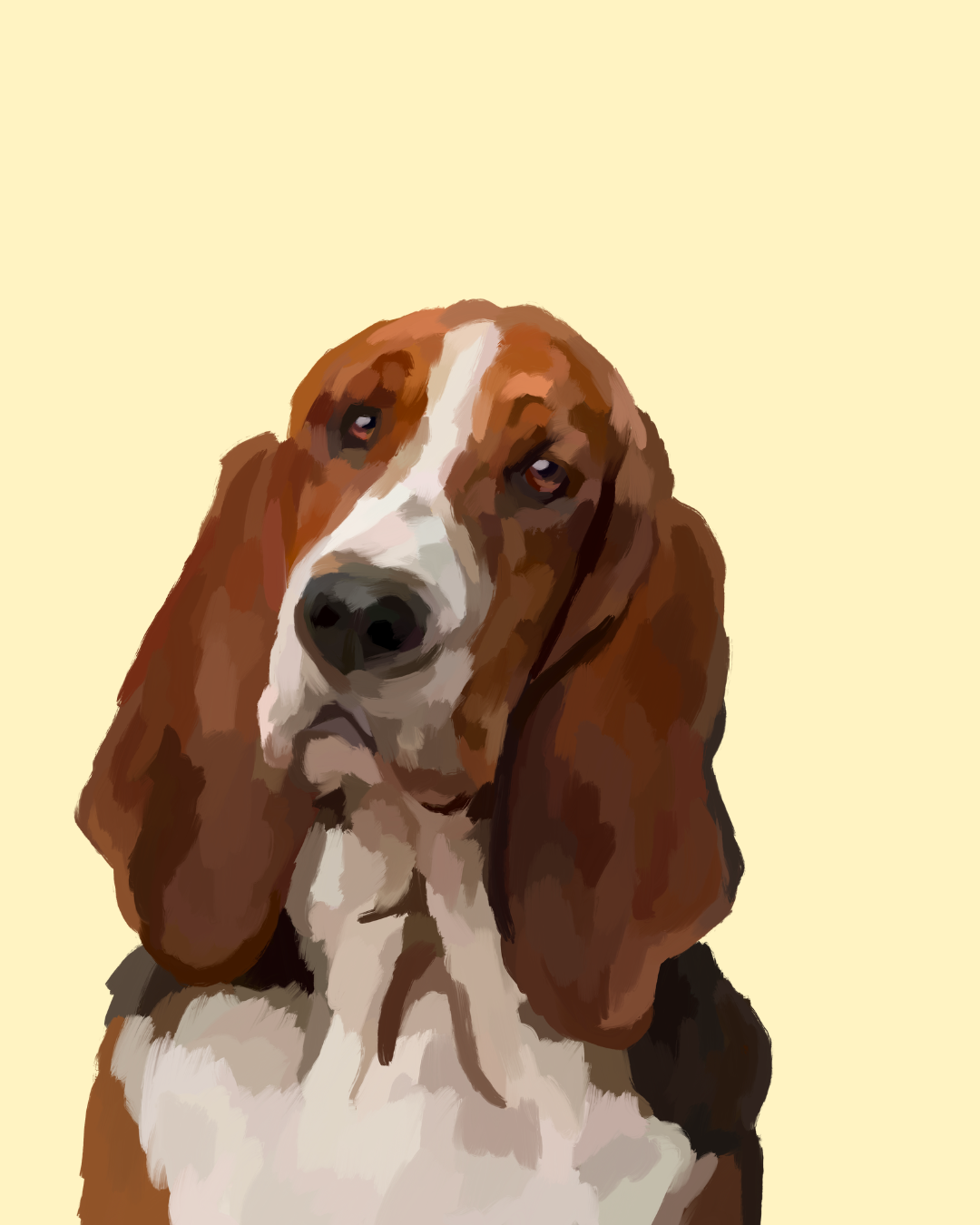 "Basset Hound"