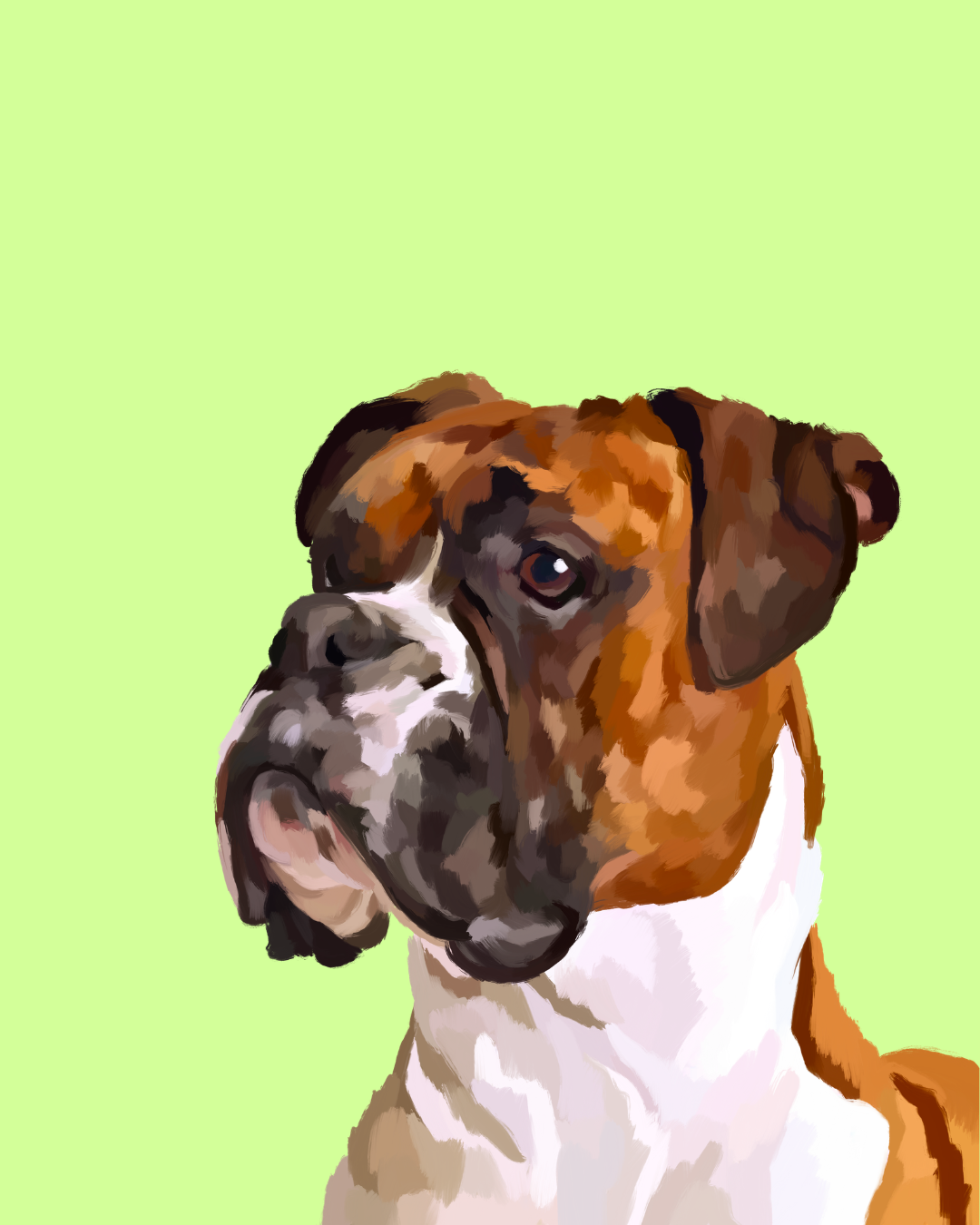 "Boxer"