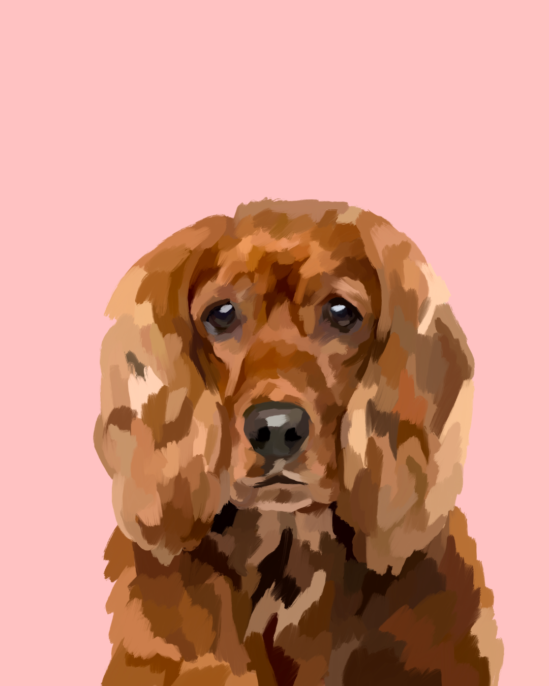 "Cocker Spaniel"