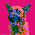Mini Colourful Pet Portrait