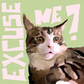 "Excuse Me" - mini