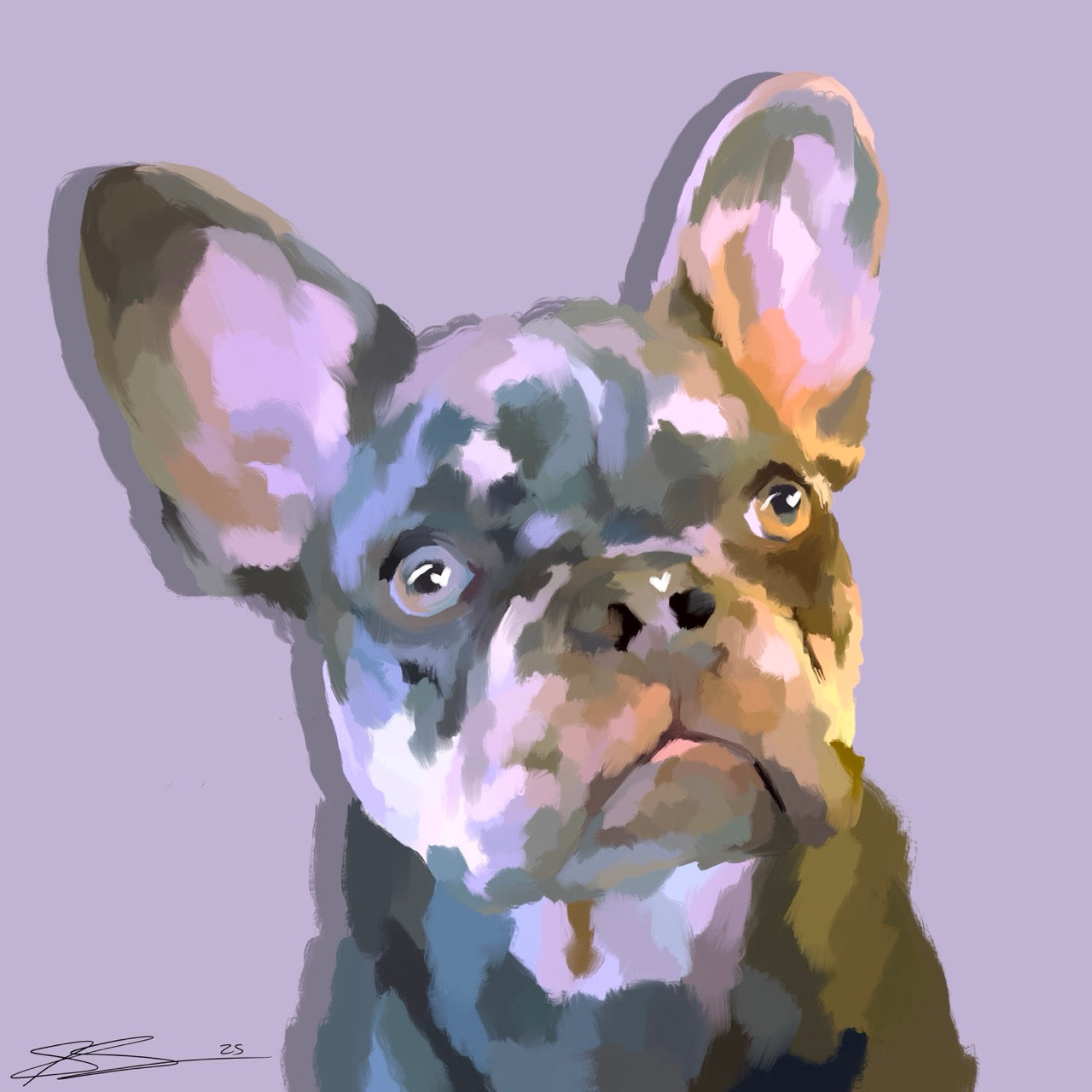 Quick Pet Portrait