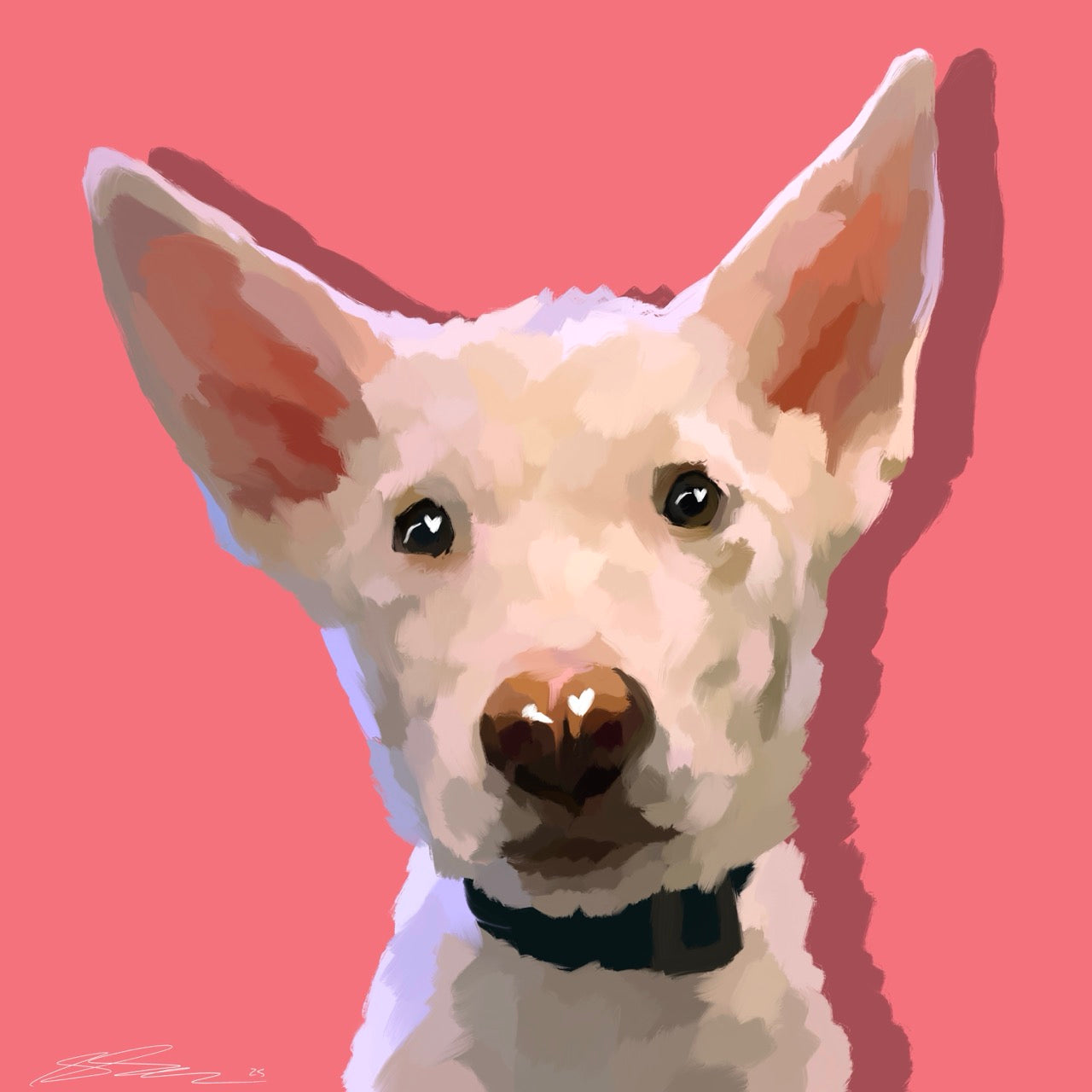 Quick Pet Portrait