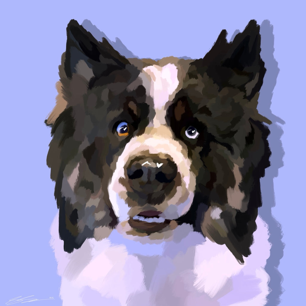 Quick Pet Portrait