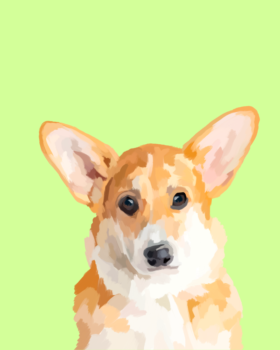 "Corgi"