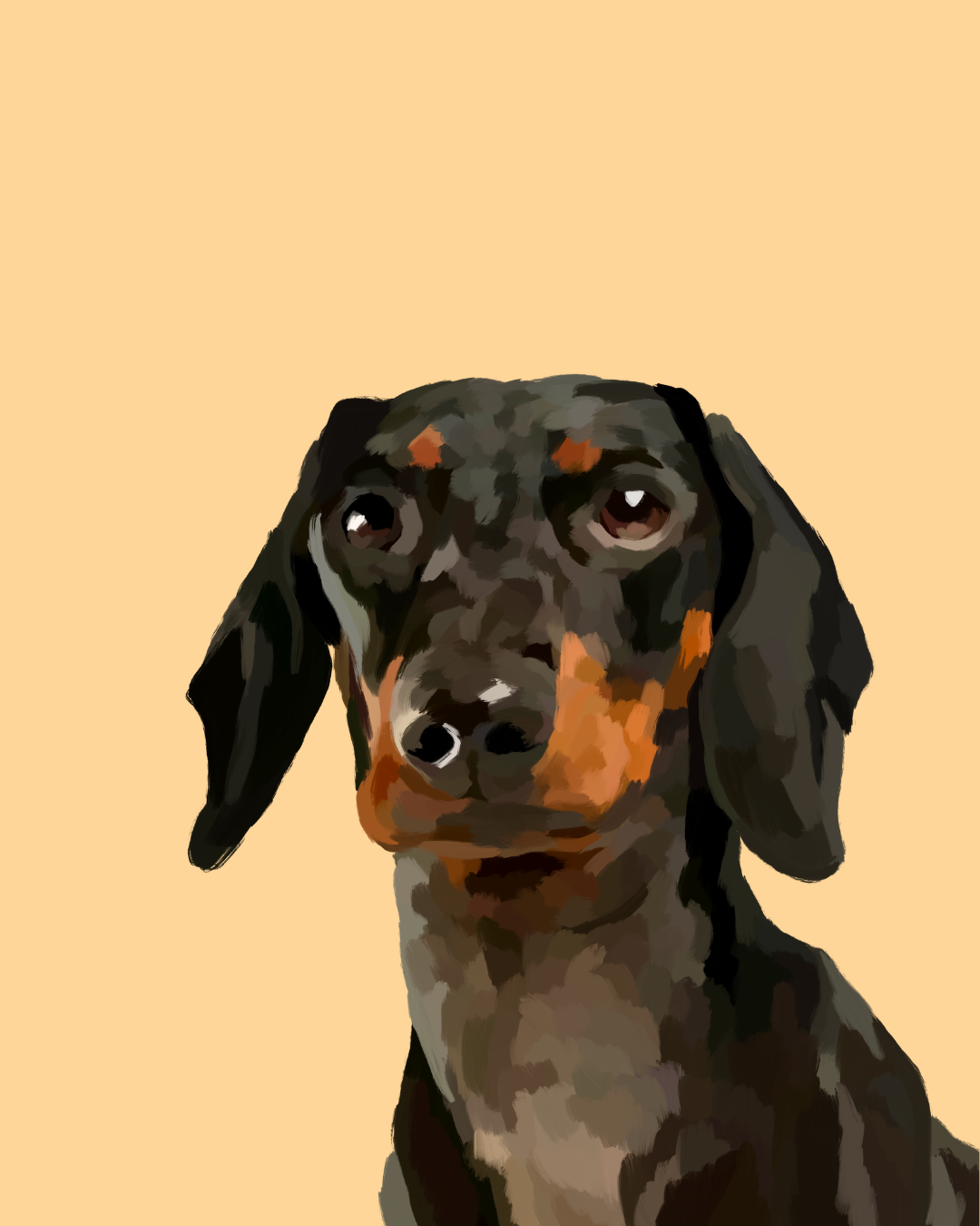 "Dachshund"