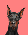 "Doberman"