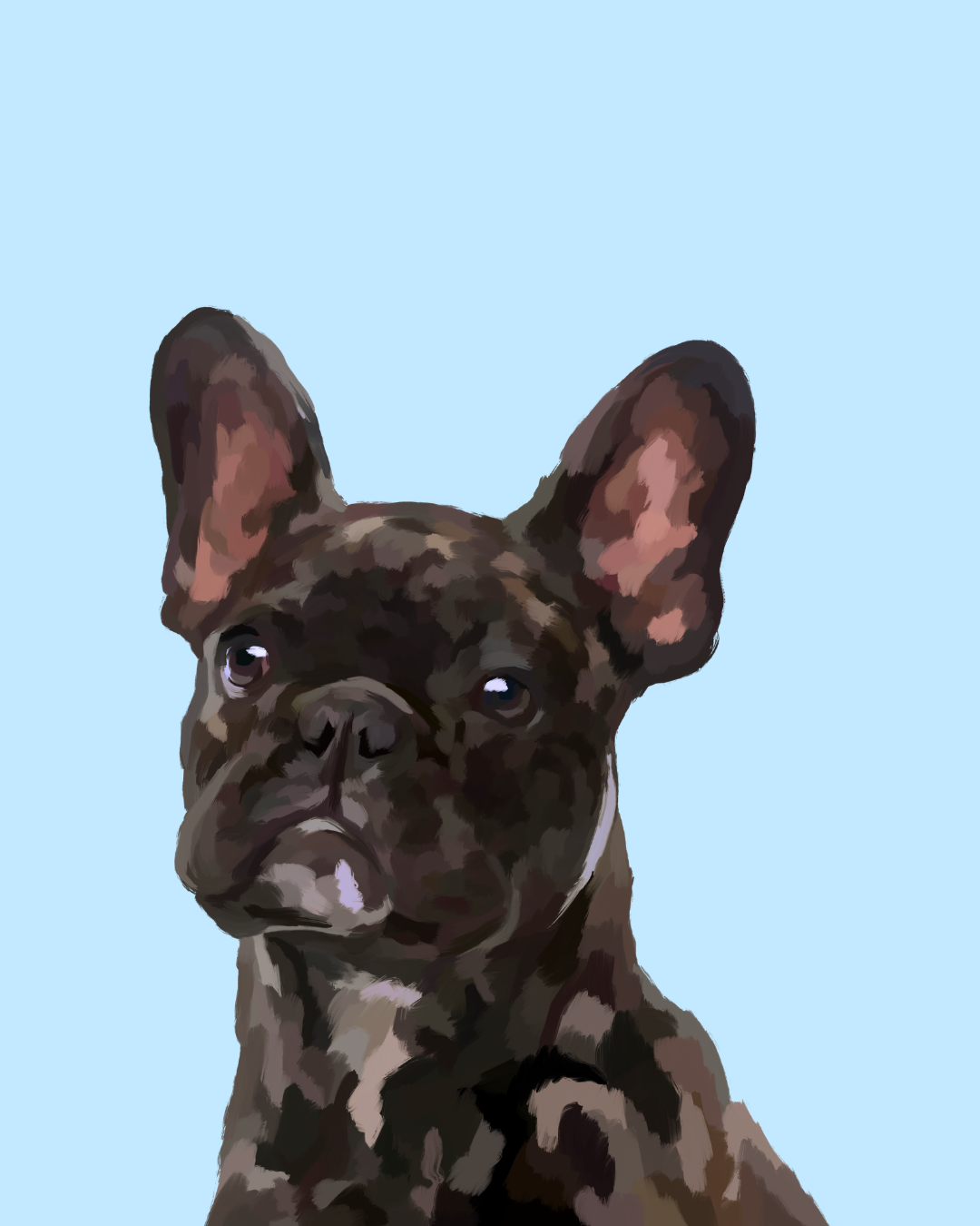 "Frenchie"