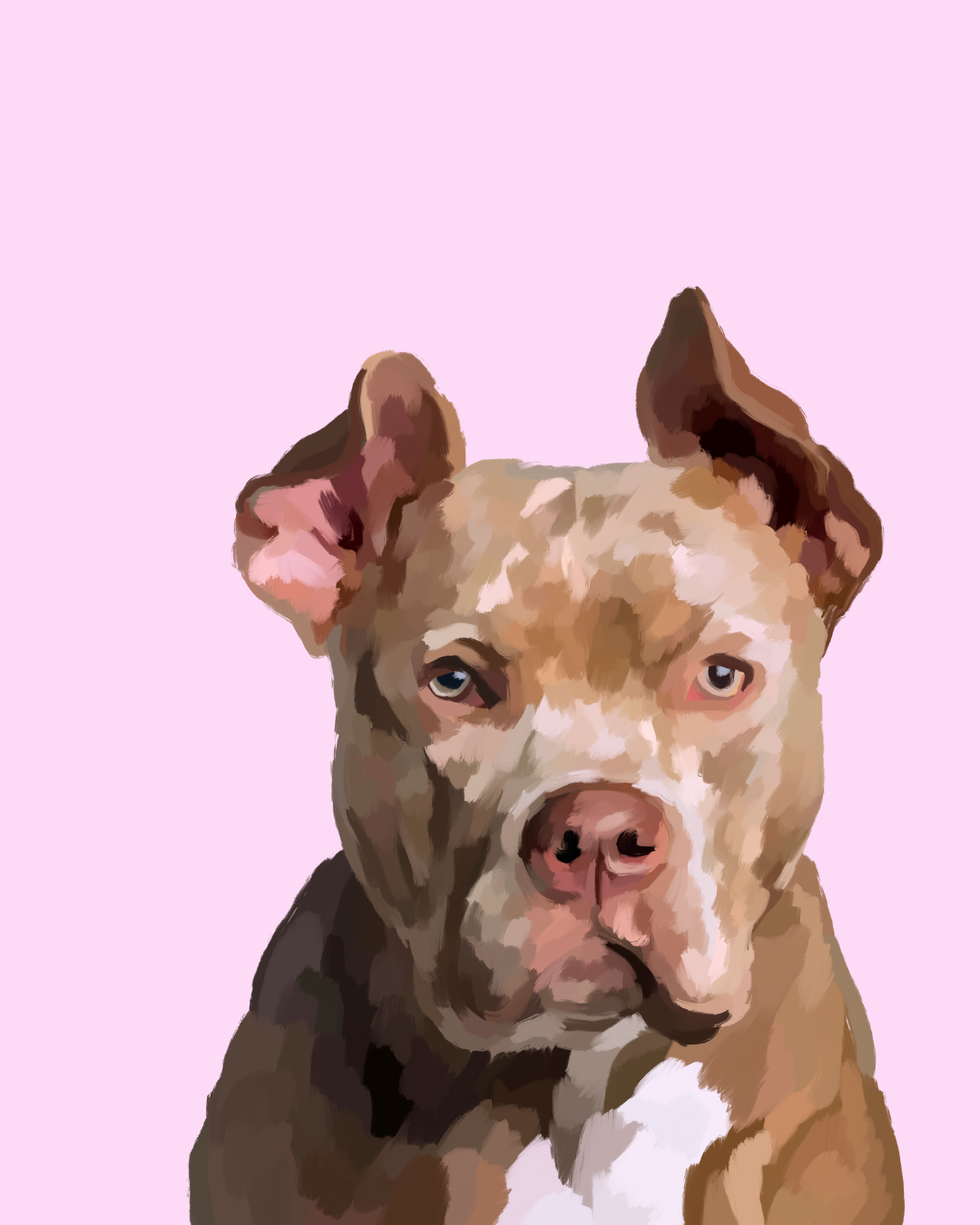 "Pitbull"